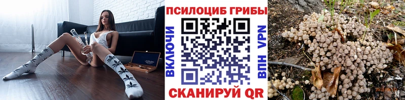 shop телеграм Анжеро-Судженск Галлюциногенные грибы Psilocybe